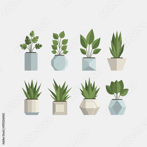 Collection of Potted Houseplants, Minimalist Geometric Planters, Modern Home Decor