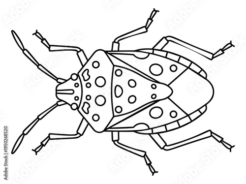 Outline illustration of spotted beetle depicting detailed insect anatomy for entomology and nature design