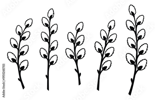 Sketch icon set of 5 botanical branch illustrations featuring willow buds and spring foliage for nature design