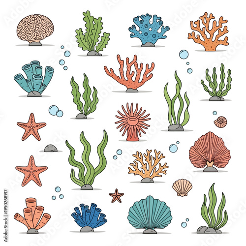 Colorful Underwater Coral Reef Plants and Starfish Collection - Vector Illustration