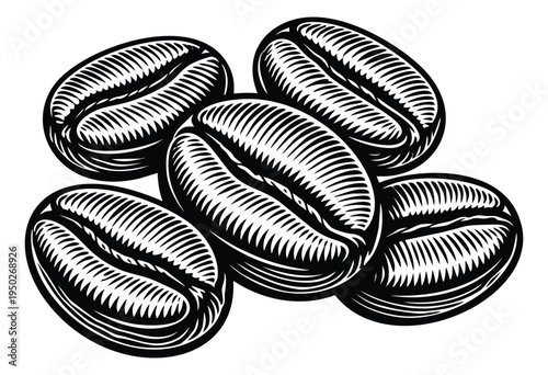 Engraving illustration of coffee beans depicting roasted arabica seeds for beverage and cafe design