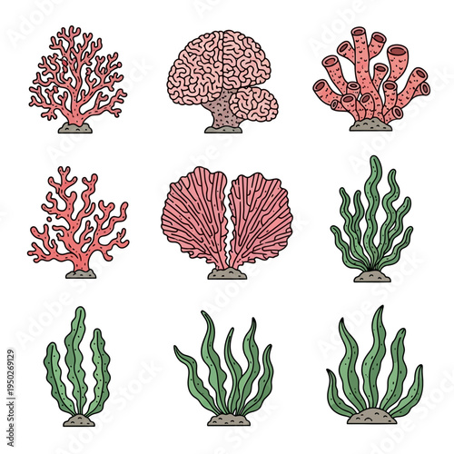 Colorful Coral Reefs and Seaweed Collection - Underwater Marine Life Illustrations