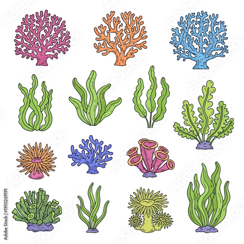 Colorful Coral Reef Plants and Sea Anemones Collection Vector Illustration