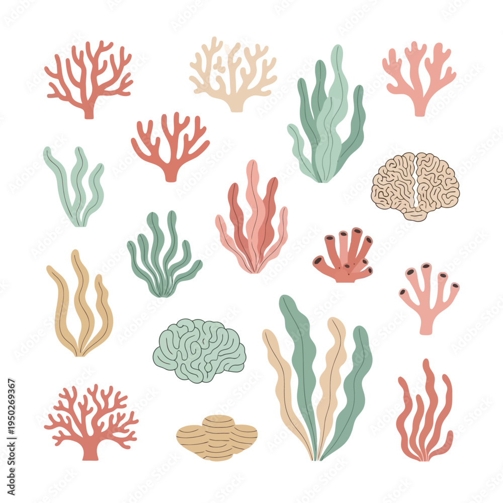 Fototapeta premium Colorful Coral Reef Elements: Brain Coral, Seaweed, and Branching Corals - Vector Illustration