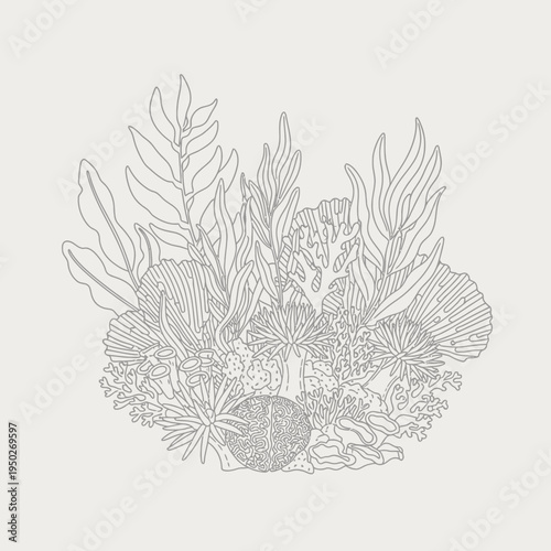 Detailed line art illustration of diverse coral reef flora and fauna on a neutral background