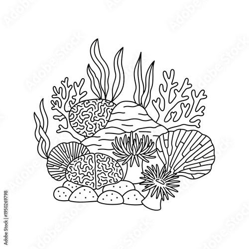 Coral Reef Ecosystem Line Art Illustration: Underwater Marine Life, Sea Anemones, Corals, and Algae