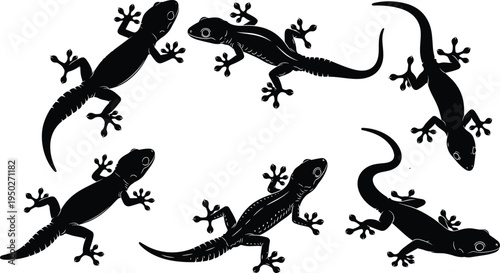 Set of gecko lizard silhouette vectors, tropical reptile collection in multiple poses, isolated black animal illustrations for wildlife design