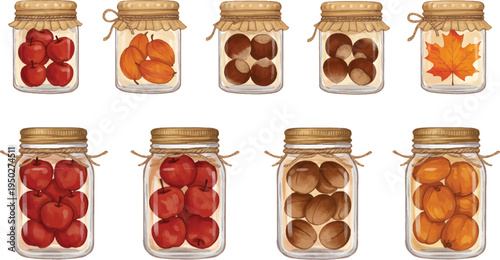 Vector Illustration Autumn Harvest Jars Collection Illustration