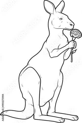 Kangaroo Marigold Animal Vector Graphic Art Illustration