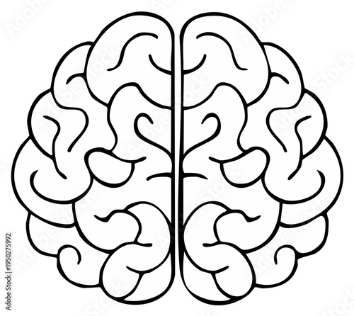Brain illustration depicting mental health, knowledge, or concept