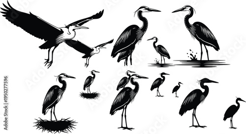 Heron bird silhouettes collection, flying and standing wading bird vector illustration set, wildlife waterbird isolated on white background