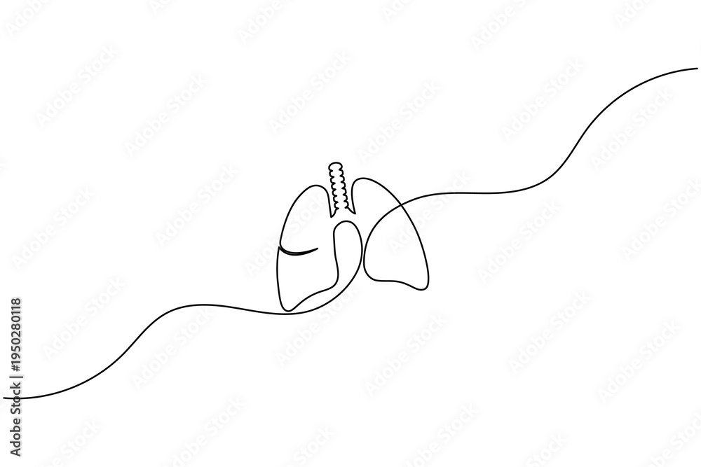 Fototapeta premium Human lungs continuous one line drawing minimalist medical anatomy line art outline isolated on white background