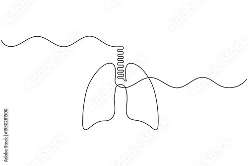 Minimalist human lungs continuous one line art drawing with trachea detail medical anatomy outline vector