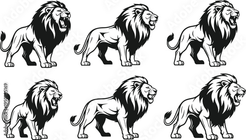 Collection of black lion silhouettes roaring in various poses isolated on white background for majestic sports mascot and power branding