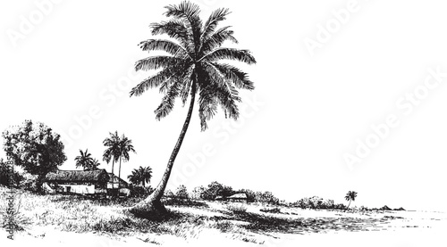 California palm tree, vector silhouette. This vector illustration can be used in any size you like for advertising, logos, and other work.