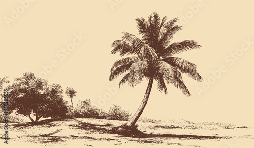 California palm tree, vector silhouette. This vector illustration can be used in any size you like for advertising, logos, and other work.