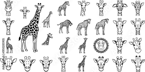 Giraffe icons and patterns set featuring various giraffe illustrations
