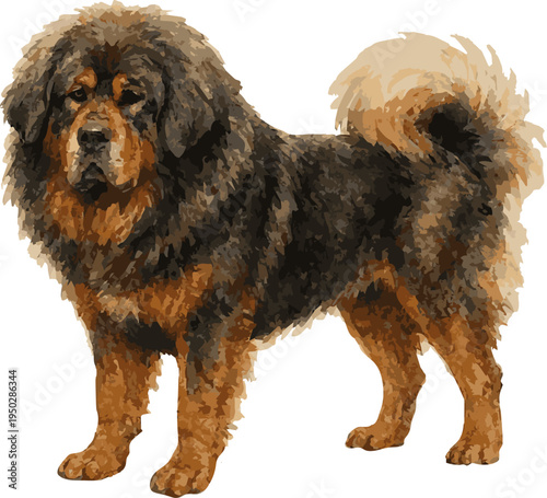 Tablou pe pânză Watercolor vector realistic illustration of a tibetian mastiff