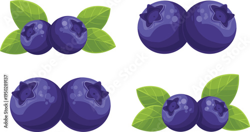 Blueberry fruit vector set. Fresh ripe blueberries with green leaves. Organic berry elements isolated for healthy food design, farm product labels and natural ingredient packaging.