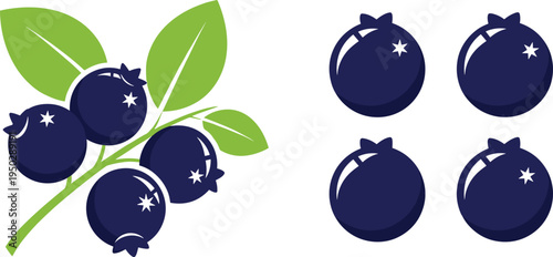 Blueberry fruit vector set. Simple flat blueberry branch with leaves and single berries. Fresh organic berry illustration.
