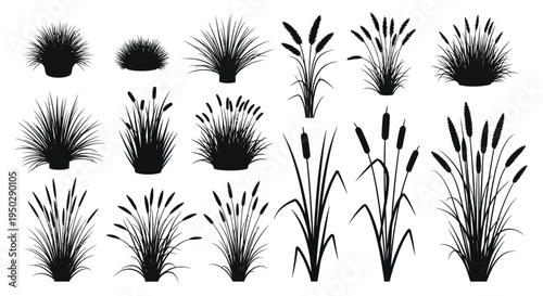 A collection of black silhouettes showcases diverse grasses reeds and cattails illustrating botanical variations high quality professional detailed modern