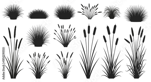 A collection of various black and white silhouettes depicting wetland plants reeds and grasses in differing shapes high quality
