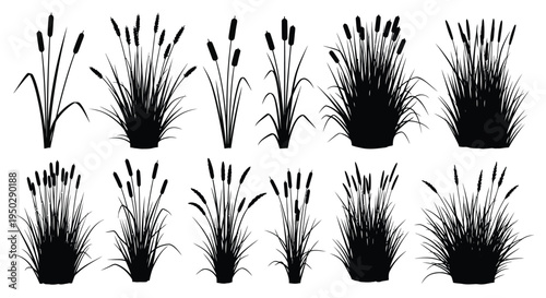 A collection of black silhouettes displays cattails and various wetland grasses in a repeating pattern high quality professional detailed