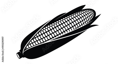 A black and white illustration depicts a single ear of corn showcasing its kernel texture and husk high quality
