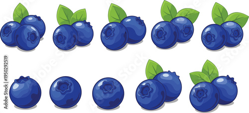 Blueberry fruit vector collection. Fresh ripe blueberries with green leaves. Juicy organic berry set isolated illustration.