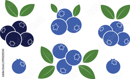 Blueberry fruit vector set. Fresh blueberry clusters with green leaves. Organic berry illustration collection isolated on white background.