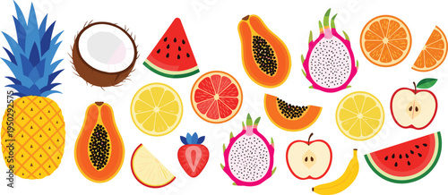 Tropical fruit vector collection. Fresh colorful fruits set with pineapple, coconut, papaya, dragon fruit, citrus, apple, banana and watermelon slices.