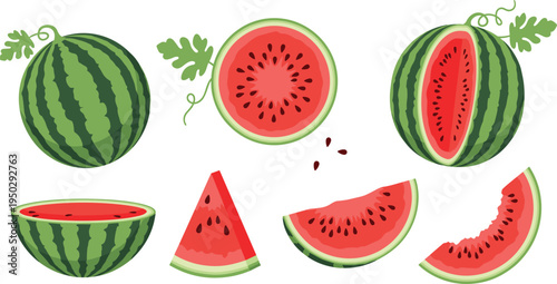 Watermelon fruit vector collection. Whole and sliced watermelon illustrations. Fresh juicy summer fruit pieces with seeds and green rind isolated set.
