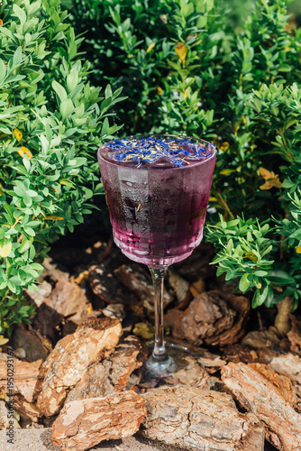Violet cocktail on stone Background with cornflower petals, single cocktail in a glass 