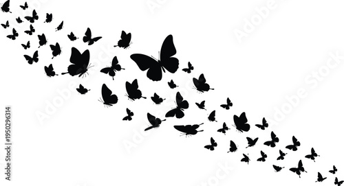 Butterfly swarm silhouettes set cad drawing flat vector illustration with flying insects trail of various sizes isolated on white background.