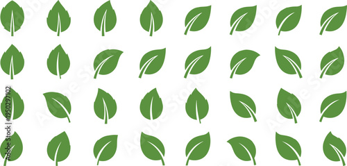 Green leaf icons set cad drawing flat vector illustration with various foliage shapes for eco friendly organic nature design isolated.