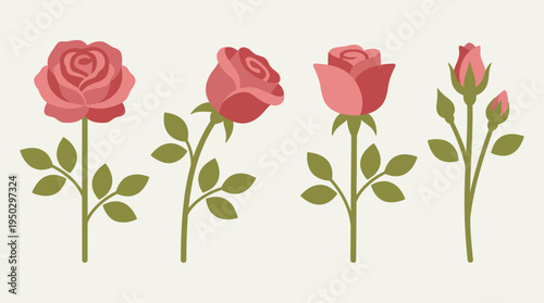 Four illustrations of pink roses in various stages of bloom, from closed buds to fully open flowers, with green stems and leaves.