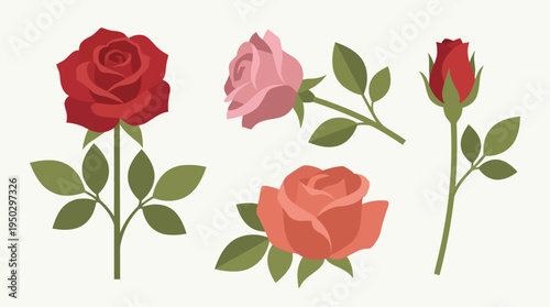 A collection of various rose flowers and buds in different colors and stages of bloom, with green leaves on a light background.
