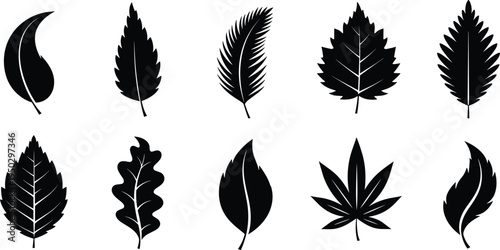 Leaf silhouettes set cad drawing flat vector illustration with various foliage shapes including oak, maple, and fern isolated on white.