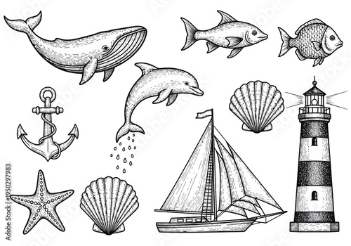 Vintage Engraved Sea Life and Nautical Elements Vector Set: Whale, Dolphin, Fish, Lighthouse, Sailboat, Anchor, Starfish, and Seashells for Ocean-Themed Designs