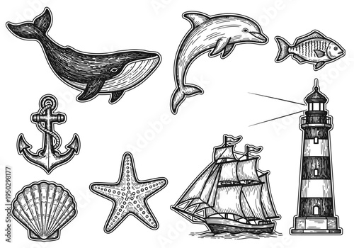 Vintage Engraved Ocean Life and Nautical Elements Vector Set with Whale, Dolphin, Fish, Anchor, Shell, Starfish, Lighthouse, and Sailboat Illustrations