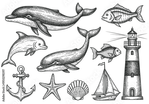 Set of 10 Hand-Drawn Engraved Marine Life and Nautical Elements Vector Illustrations for Ocean-Themed Designs, Featuring Whales, Dolphins, Fish, Lighthouse, Anchor, Starfish, Seashell