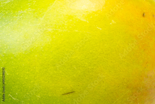 Wallpaper Mural Abstract background of colorful organic macro mango peel. Torontodigital.ca