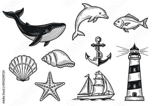 Set of 9 Hand-Drawn Marine Life and Nautical Elements Vector Illustrations, Featuring Whale, Dolphin, Fish, Shells, Starfish, Anchor, Lighthouse, and Sailboat in Black and White Engraving Style