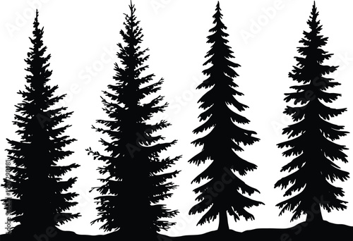Black silhouette of pine and spruce trees set isolated on white background for forest landscape design and wild nature environment conservation concept