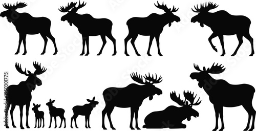 Collection of moose silhouettes in various poses, standing, walking, lying down, antlered adults and calves, wildlife illustration