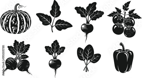 Vegetable silhouettes set featuring pumpkin, tomato, beetroot, pepper and leafy greens, organic farm produce icons collection isolated on white background for healthy food design
