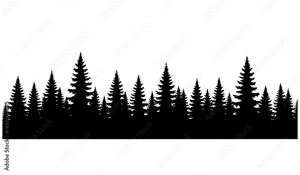 Obraz premium Evergreen Pine Fir Spruce Forest Silhouette Vector Illustration