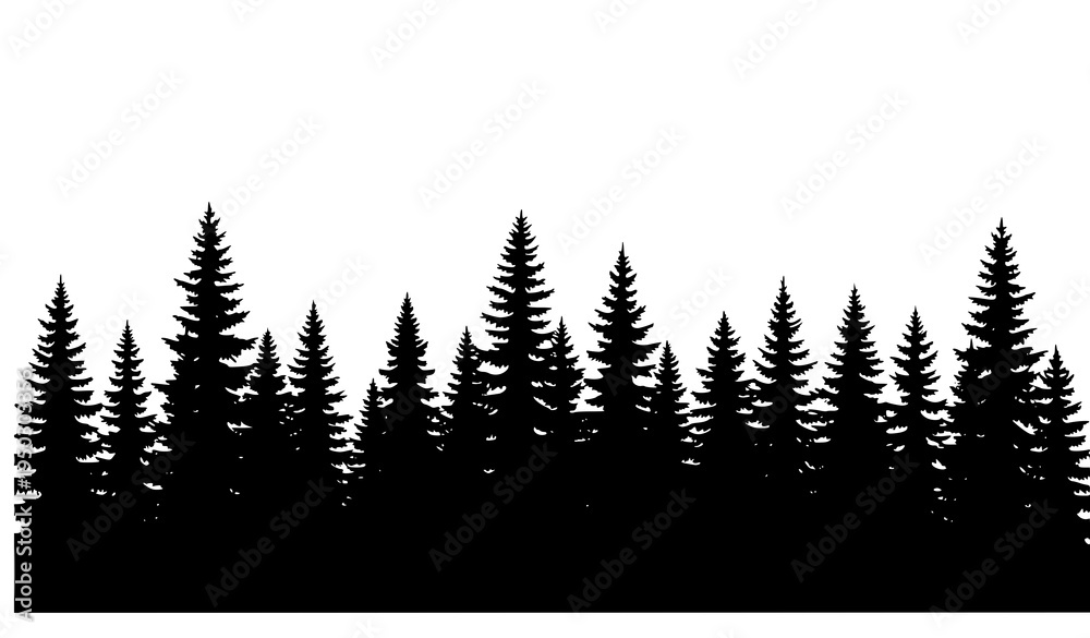Obraz premium Conifer Forest Silhouettes Pine Fir Spruce Trees Vector Landscape