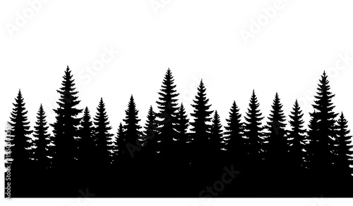Conifer Forest Silhouettes Pine Fir Spruce Trees Vector Landscape