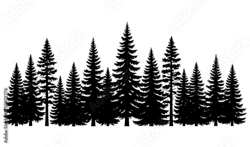 Tall Pine Tree Silhouettes Conifer Forest Line Vector Illustration